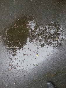 Puddle heart